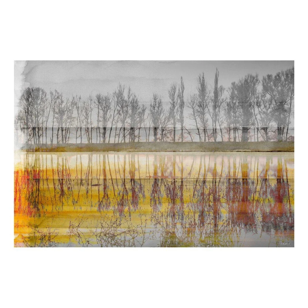 Obraz na plátně Marmont Hill Mirroir, 61 x 41 cm v:1078802