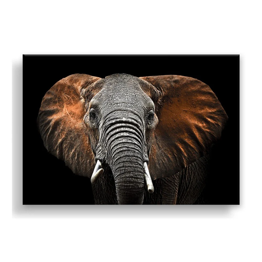 Obraz Styler Canvas Silver Uno Elephant, 85 x 113 cm v:1175826