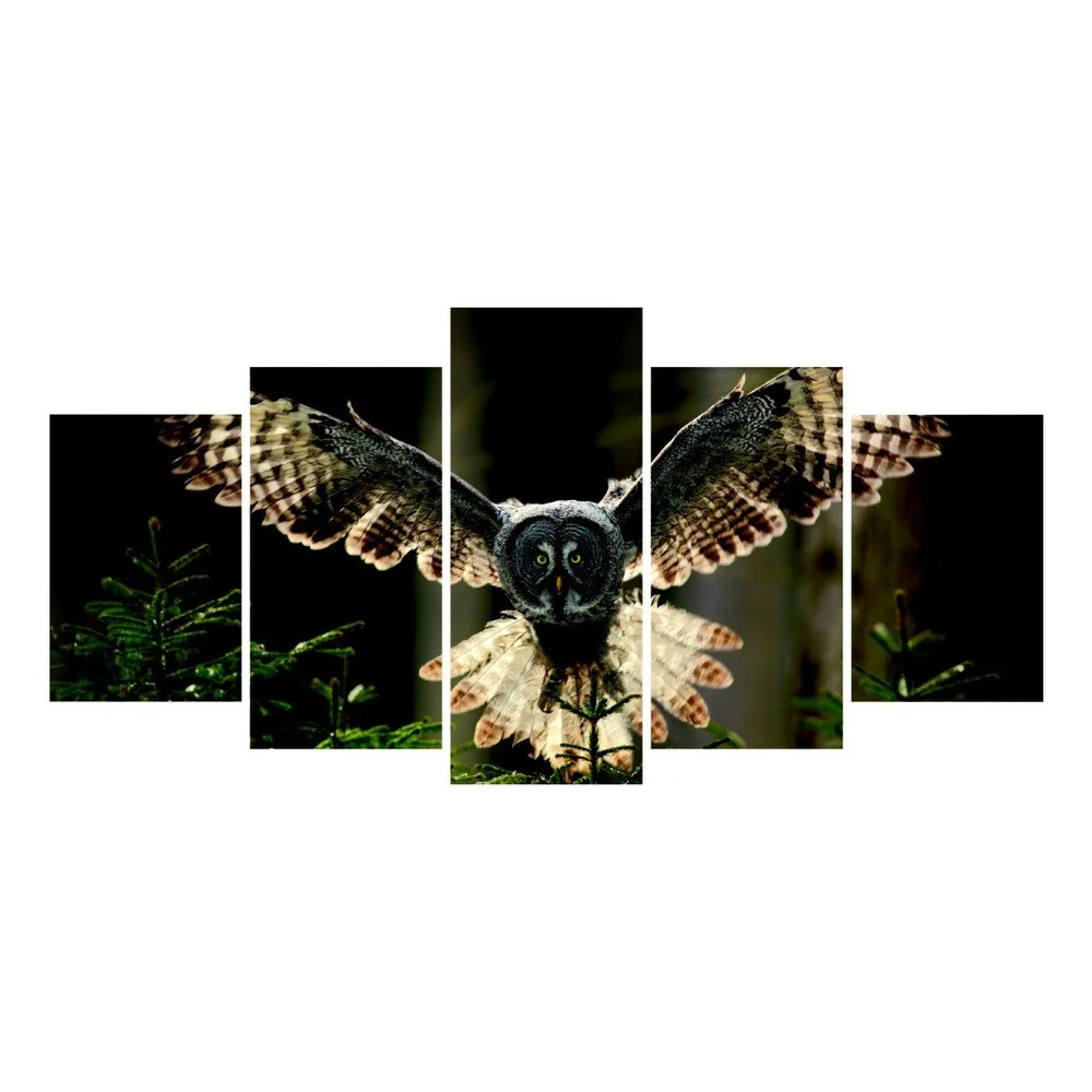 Vícedílný obraz La Maison Des Couleurs Owl v:809444