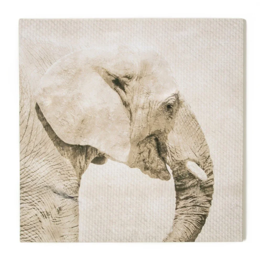 Obraz Graham & Brown Trunk, 50 x 50 cm v:787466
