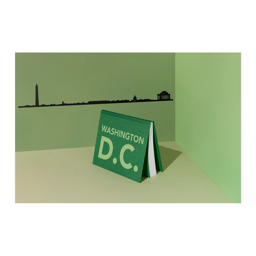 Černá nástěnná dekorace se siluetou města The Line Washington DC v:1249092