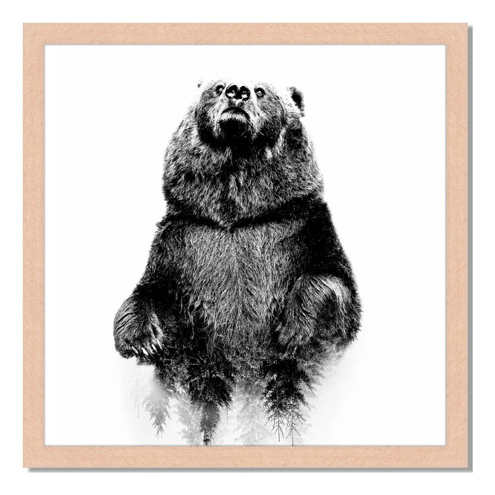 Obraz v rámu Liv Corday Scandi Bear, 40 x 40 cm v:885940