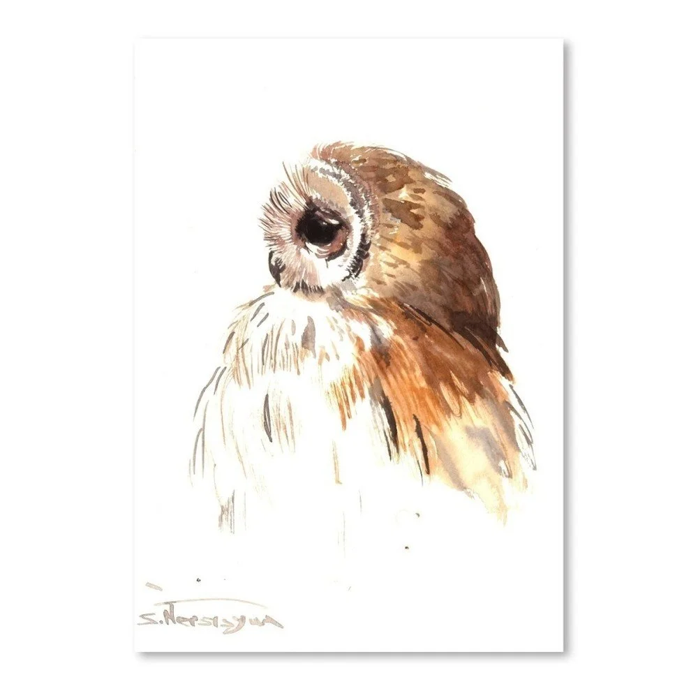 Autorský plakát Brown Owl od Surena Nersisyana, 30 x 21 cm v:758506