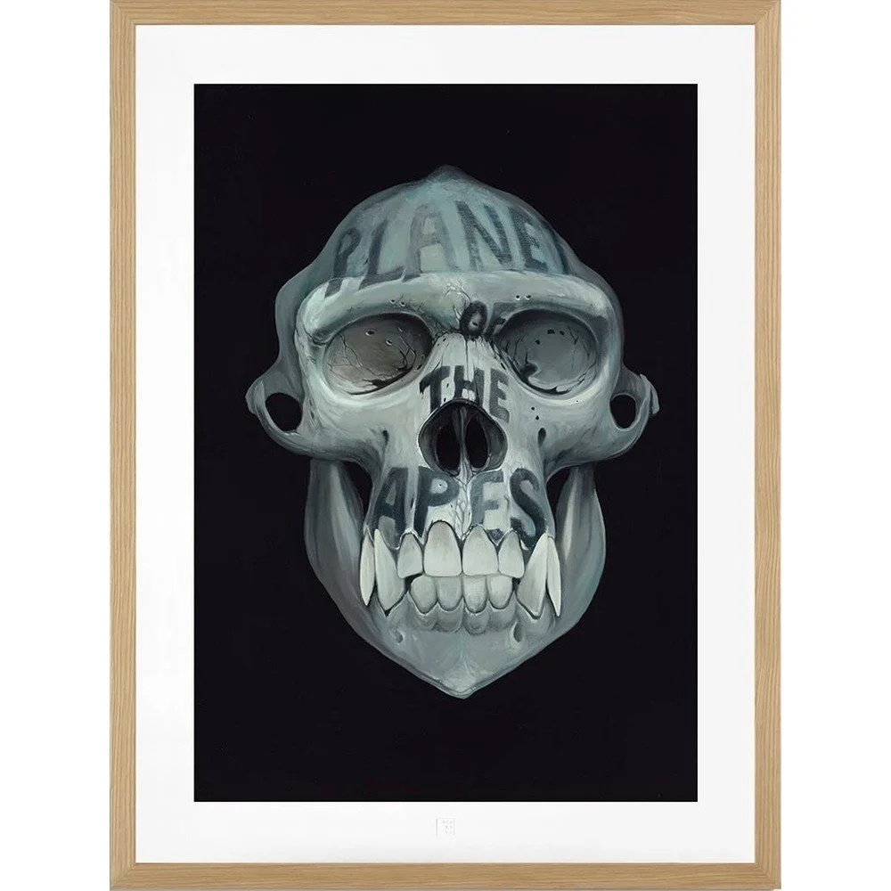 Obraz 54x72 cm Adam Jílek v:1716766