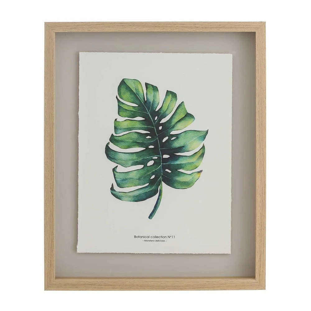 Nástěnný obraz Tropicho Monstera, 40 x 50 cm v:1061454