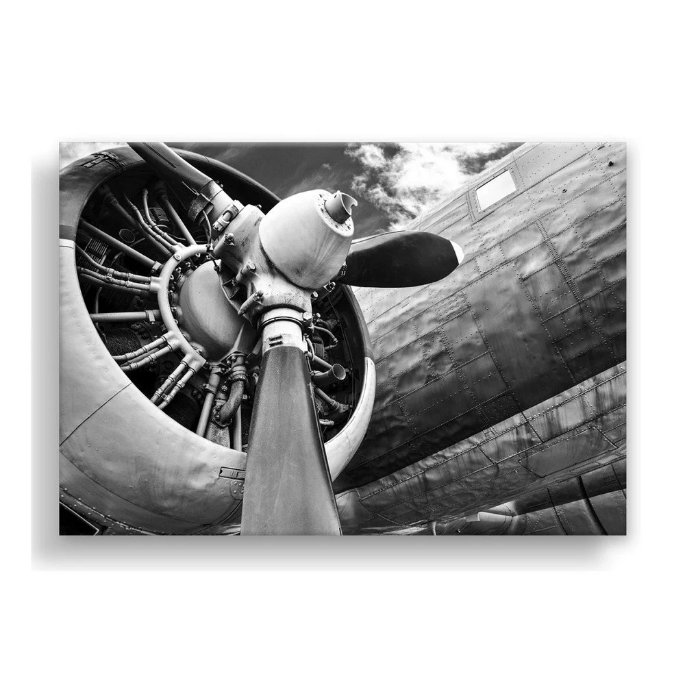 Obraz Styler Canvas Silver Uno Plane, 85 x 113 cm v:1175828