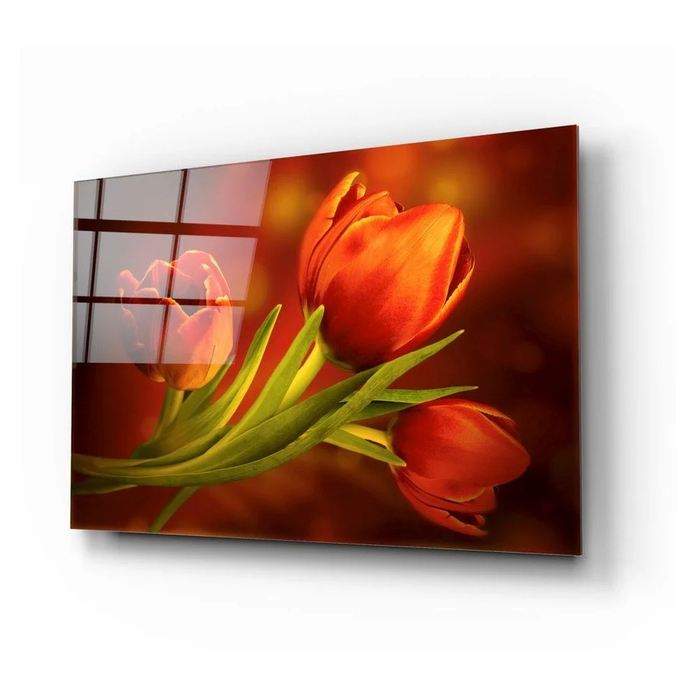 Skleněný obraz Insigne Tulips v:1325678