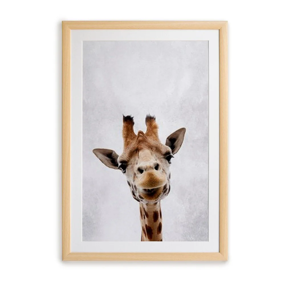 Nástěnný obraz v rámu Surdic Giraffe, 30 x 40 cm v:1336322