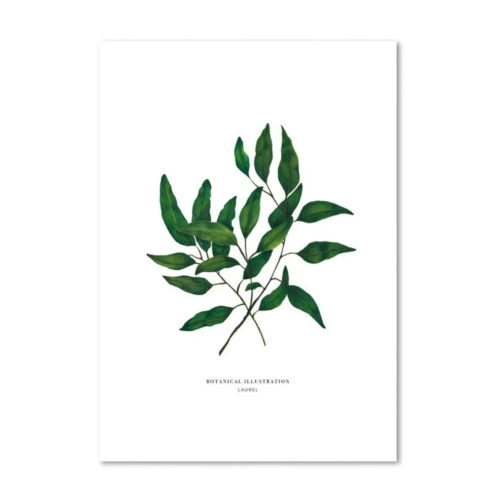 Plakát Leo La Douce Laurel, 21 x 29,7 cm v:828668
