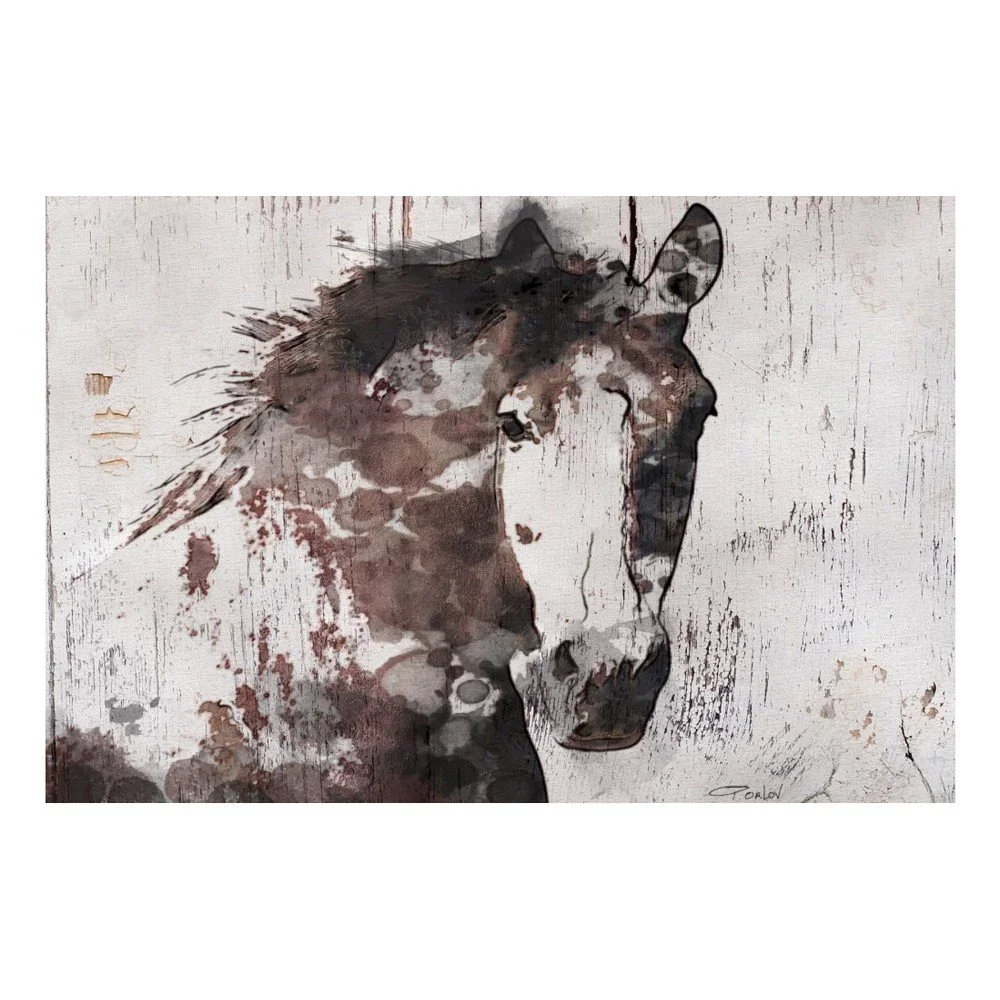 Obraz Marmont Hill Gorgeous Horse, 45 x 30 cm v:904422