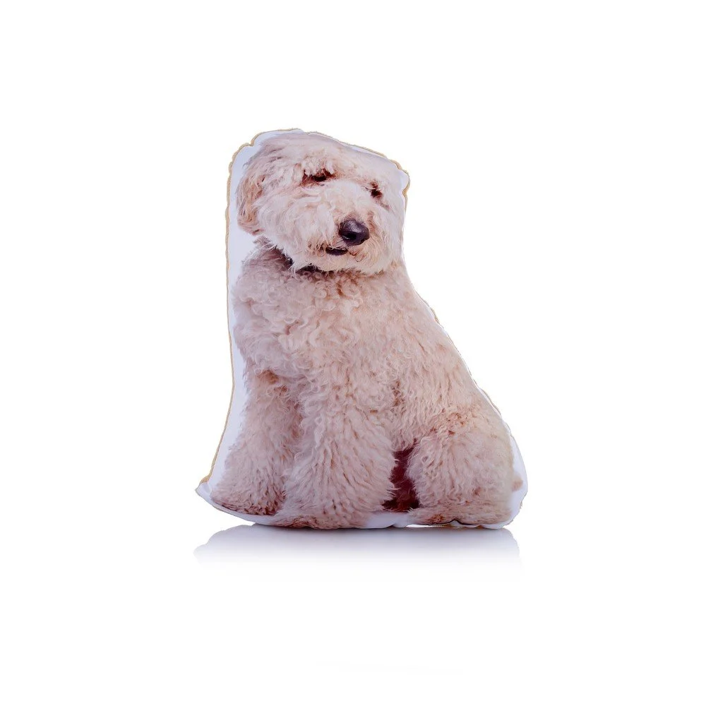 Polštářek s potiskem křížence Labradora a Pudla Adorable Cushions Midi Labradoodle v:1321154