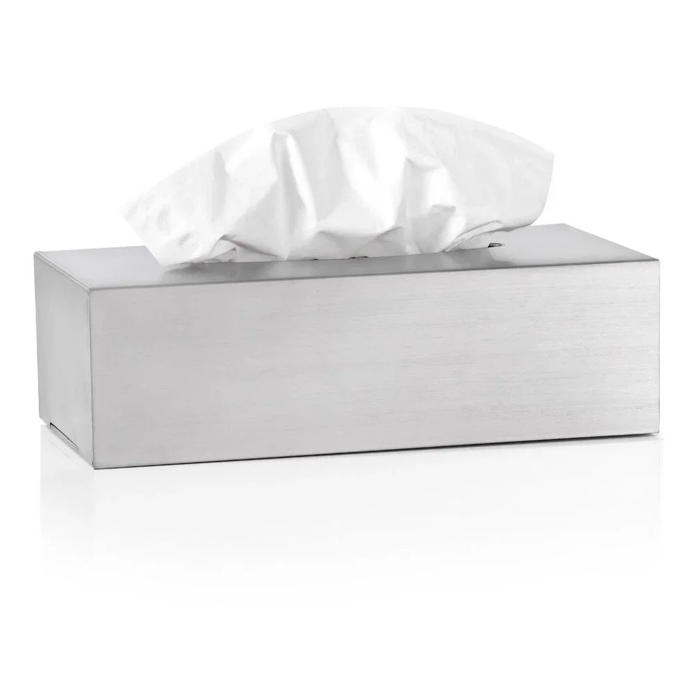 Matný nerezový box na kapesníčky Blomus Areo v:925730