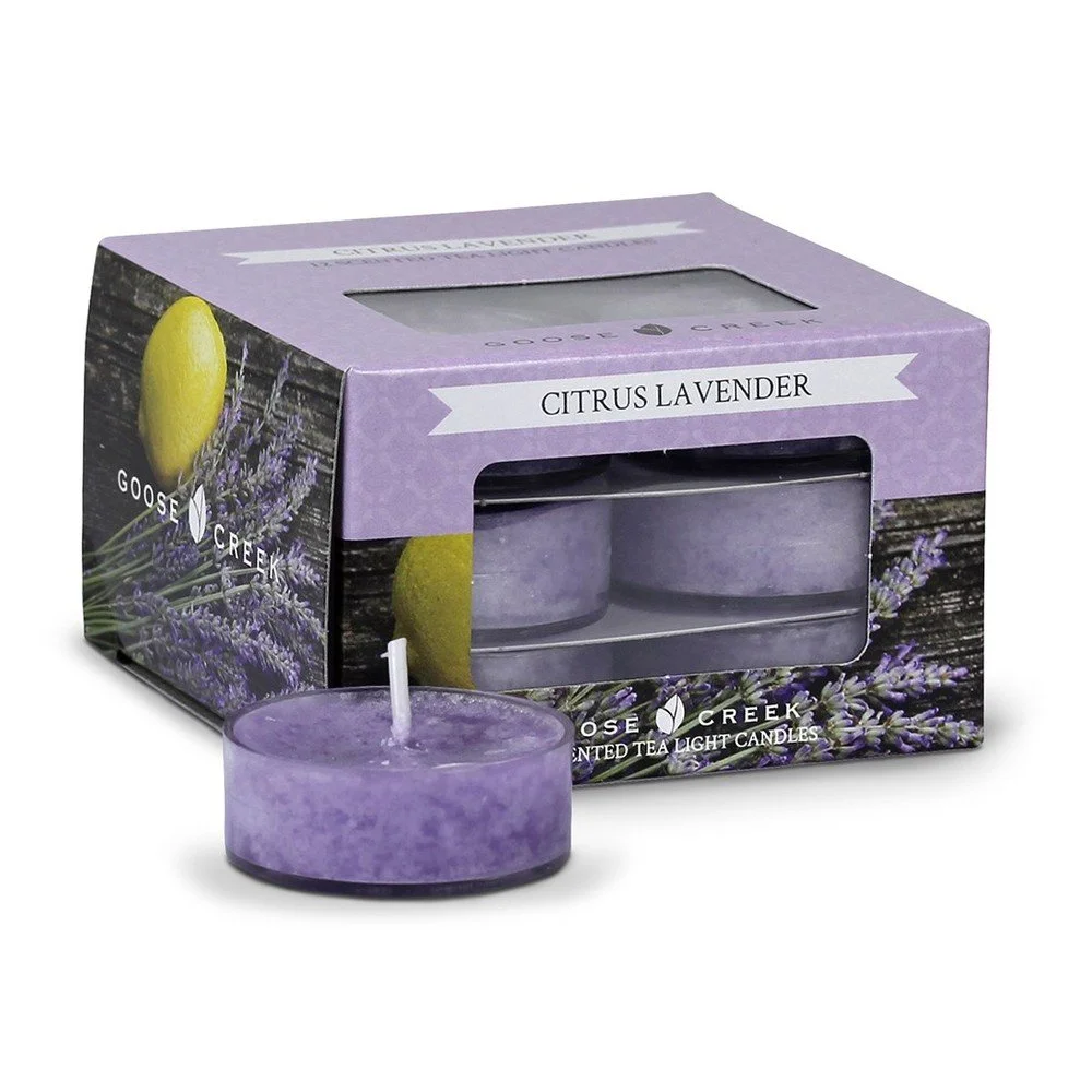 Sada 12 čajových svíček Goose Creek Citrusová levandule v:945656