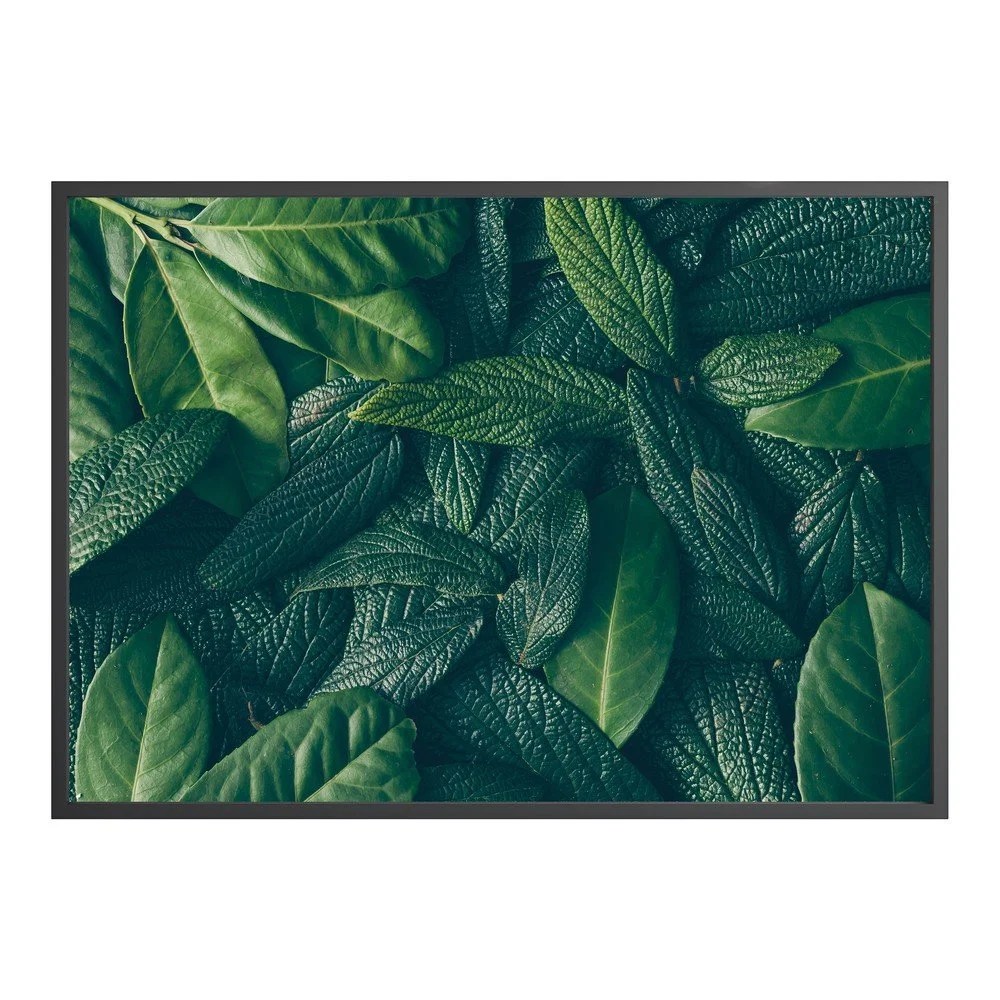 Nástěnný plakát v rámu CANOPY, 70 x 100 cm v:1343049