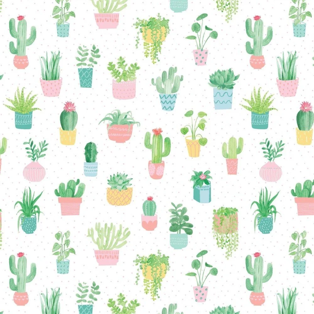 Balicí papír Sass & Belle Pastel Cactus v:982934