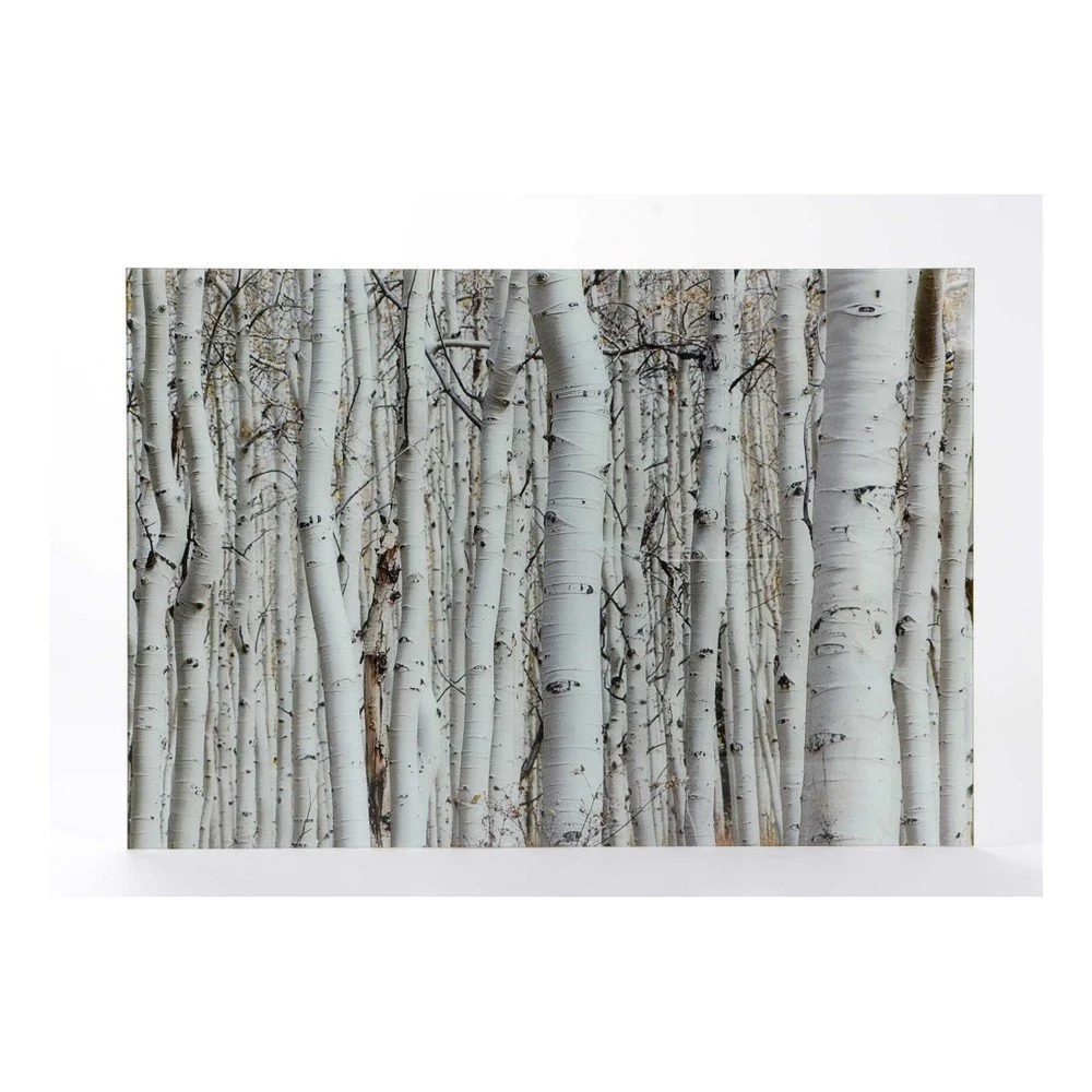 Skleněný obraz Amadeus Winter Forest v:798074
