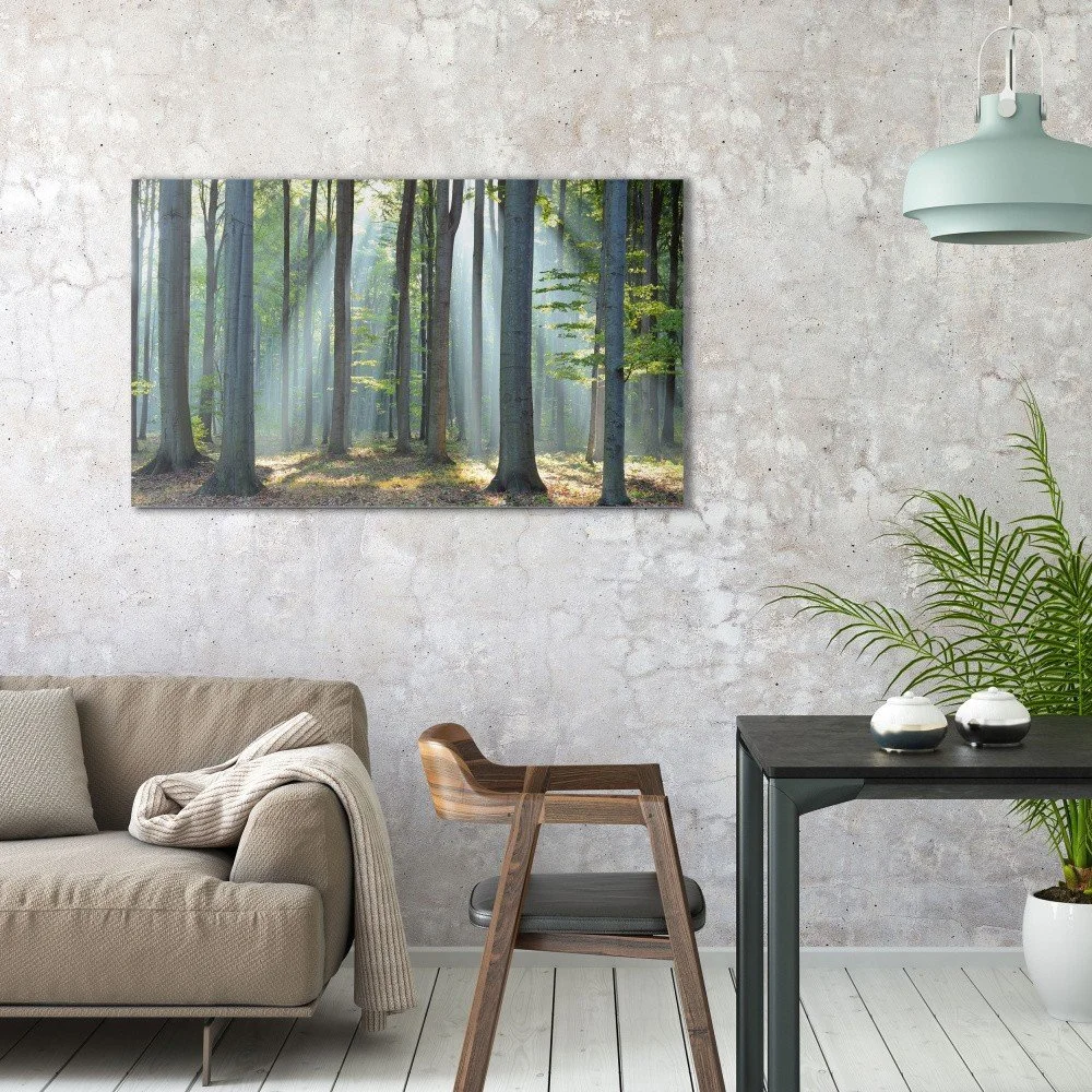 Obraz na plátně OrangeWallz Forest, 70 x 118 cm v:1144456