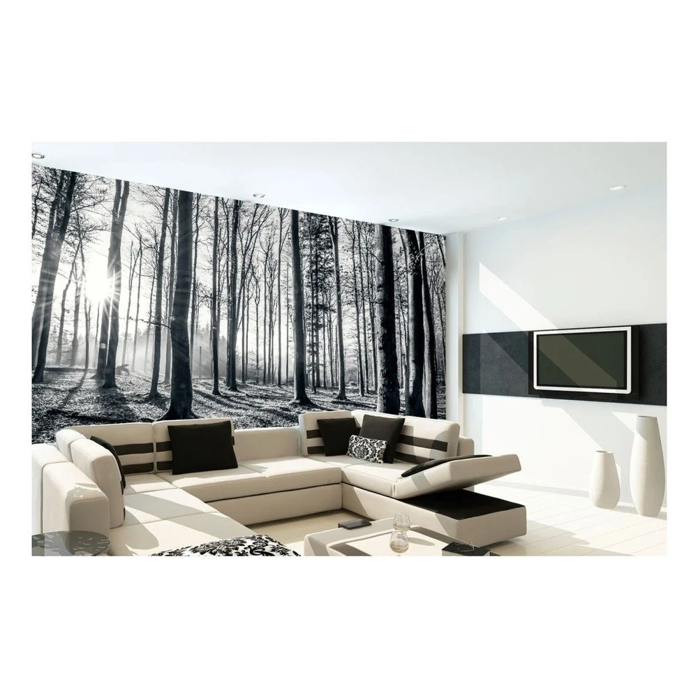 Velkoformátová tapeta Forest Shine, 315 x 232 cm v:728190
