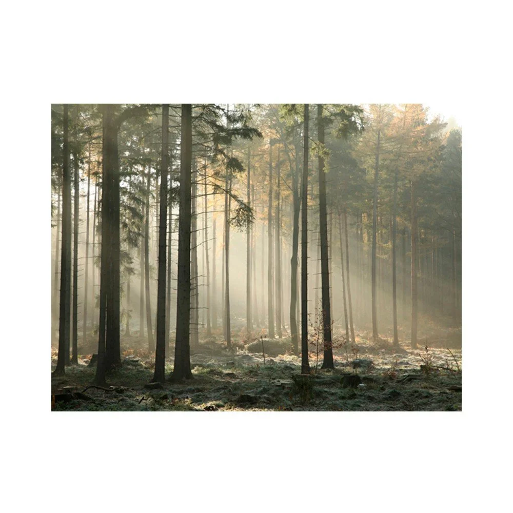 Velkoformátová tapeta Artgeist Foggy November Morning, 400 x 309 cm v:1376461
