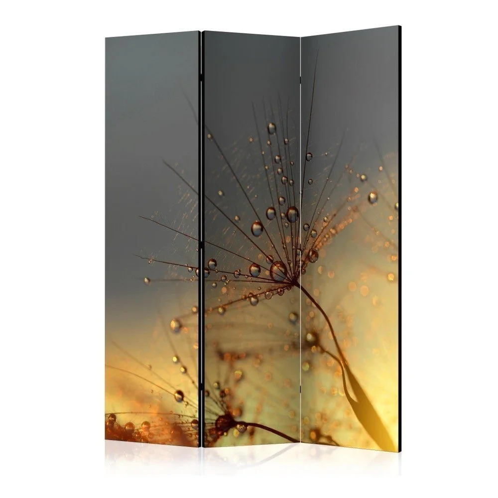 Paraván Artgeist Sunset, 135 x 172 cm v:1050536