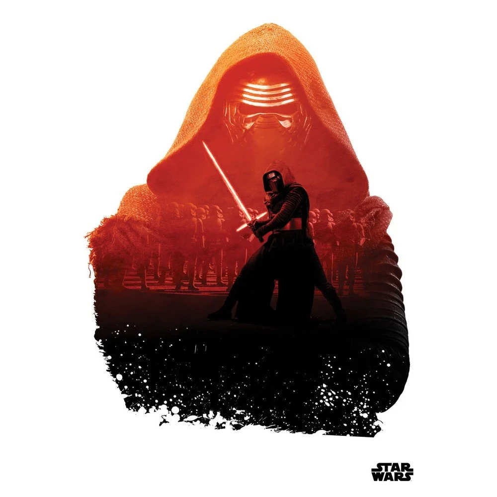 Nástěnná cedule Resistance vs First Order v:707152
