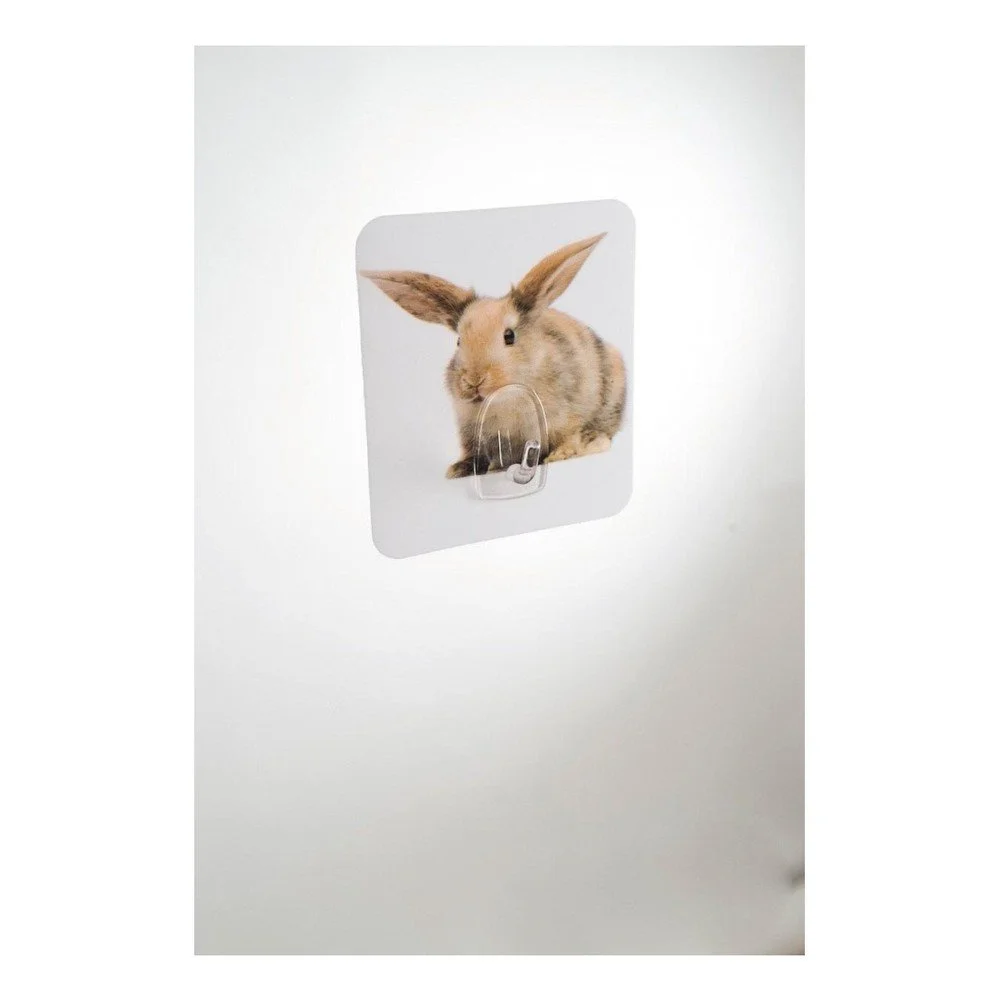 Nástěnný háček Compactor Magic Rabbit v:1034828