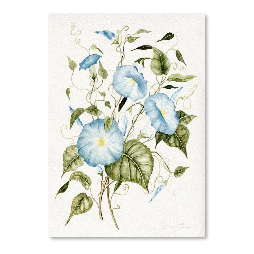 Plakát Americanflat Morning Glories by Shealeen Louise, 30 x 42 cm v:1120590
